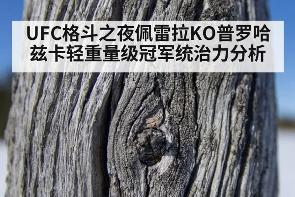UFC格斗之夜佩雷拉KO普罗哈兹卡轻重量级冠军统治力分析
